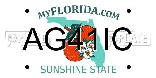 AG41IC Florida License Plate