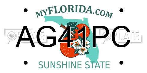 AG41PC Florida License Plate