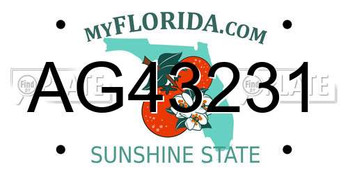 AG43231 Florida License Plate