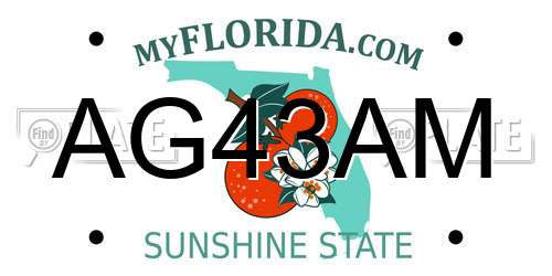 AG43AM Florida License Plate