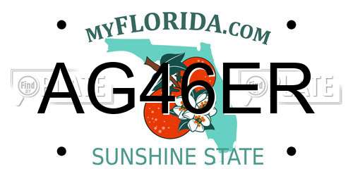 AG46ER Florida License Plate
