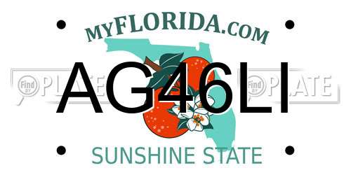 AG46LI Florida License Plate