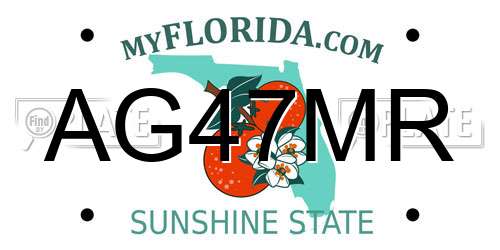 AG47MR Florida License Plate
