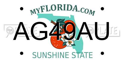 AG49AU Florida License Plate