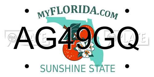 AG49GQ Florida License Plate