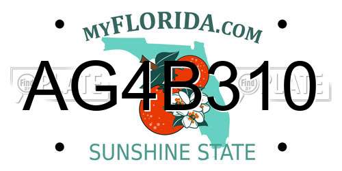 AG4B310 Florida License Plate