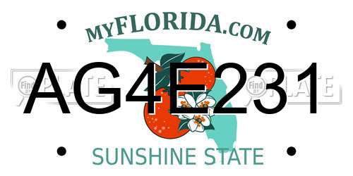 AG4E231 Florida License Plate