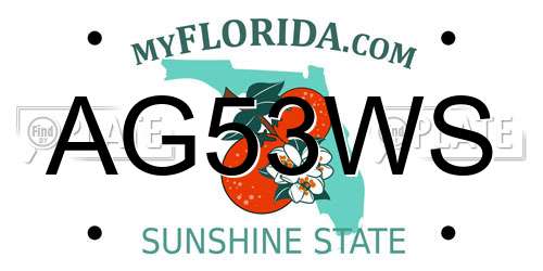 AG53WS Florida License Plate