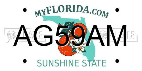 AG59AM Florida License Plate