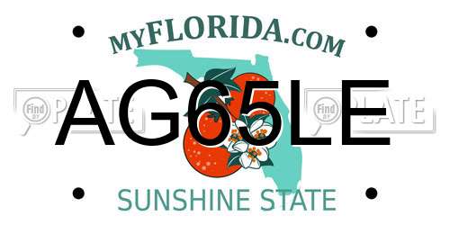 AG65LE Florida License Plate