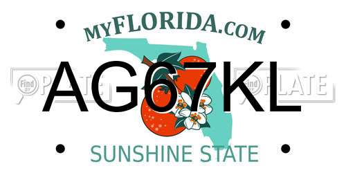 AG67KL Florida License Plate