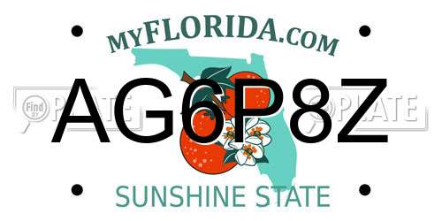 AG6P8Z Florida License Plate