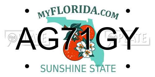 AG71GY Florida License Plate