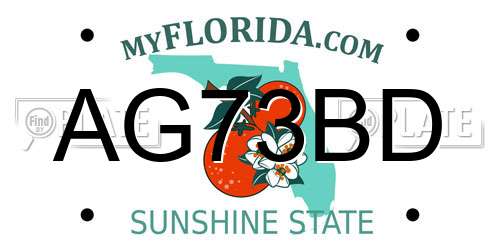 AG73BD Florida License Plate