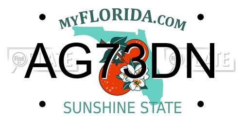 AG73DN Florida License Plate