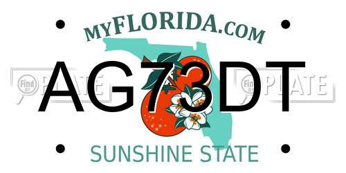 AG73DT Florida License Plate