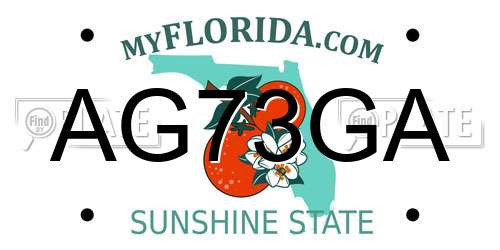 AG73GA Florida License Plate