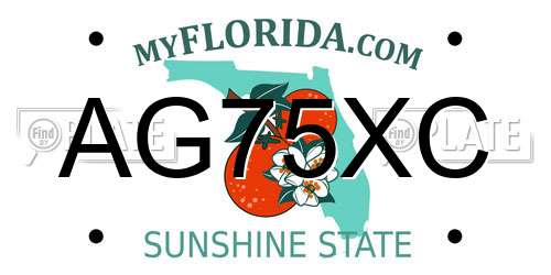 AG75XC Florida License Plate