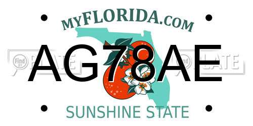 AG78AE Florida License Plate
