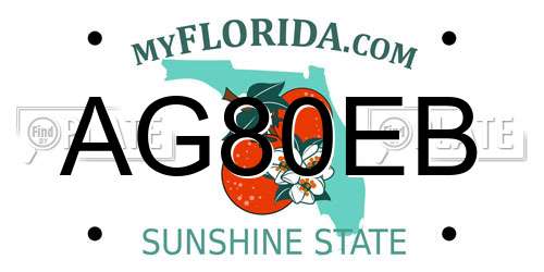 AG80EB Florida License Plate
