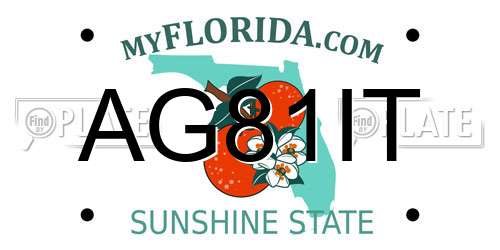 AG81IT Florida License Plate
