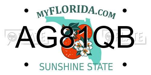 AG81QB Florida License Plate