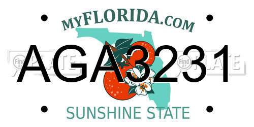 AGA3231 Florida License Plate