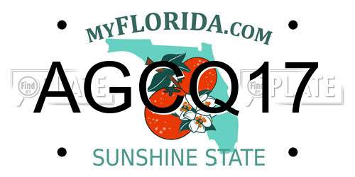 AGCQ17 Florida License Plate