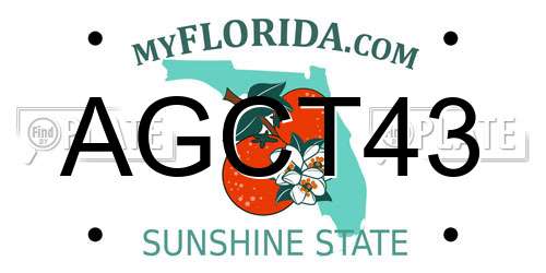 AGCT43 Florida License Plate