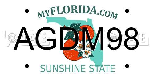 AGDM98 Florida License Plate