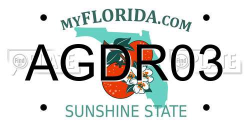 AGDR03 Florida License Plate