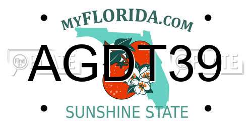 AGDT39 Florida License Plate