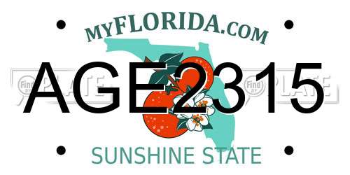 AGE2315 Florida License Plate
