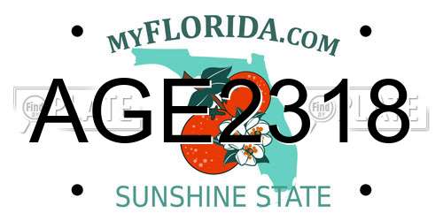AGE2318 Florida License Plate