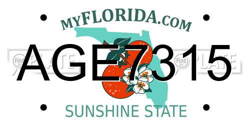 AGE7315 Florida License Plate