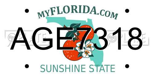 AGE7318 Florida License Plate