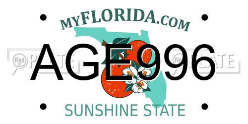 AGE996 Florida License Plate