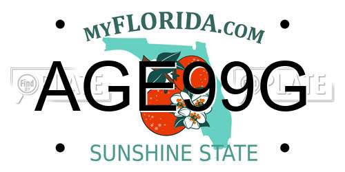 AGE99G Florida License Plate