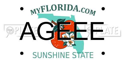 AGEEE Florida License Plate