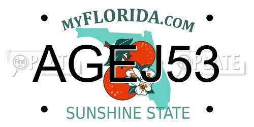 AGEJ53 Florida License Plate