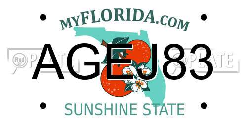AGEJ83 Florida License Plate