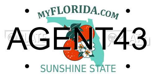 AGENT43 Florida License Plate