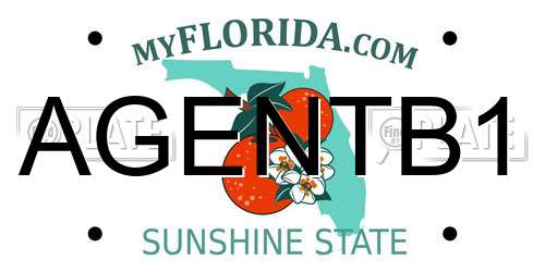 AGENTB1 Florida License Plate