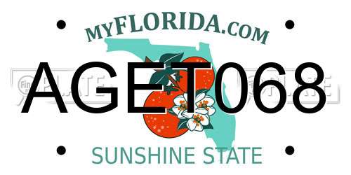 AGET068 Florida License Plate