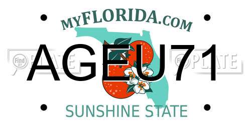 AGEU71 Florida License Plate