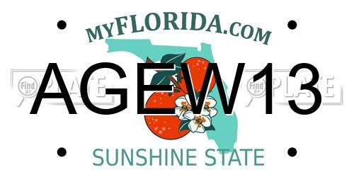 AGEW13 Florida License Plate