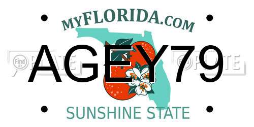 AGEY79 Florida License Plate