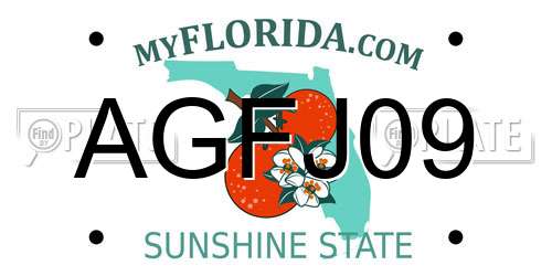 AGFJ09 Florida License Plate