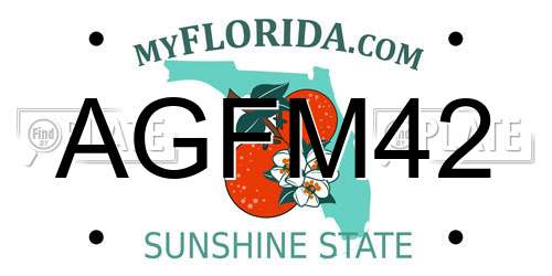AGFM42 Florida License Plate