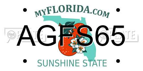 AGFS65 Florida License Plate